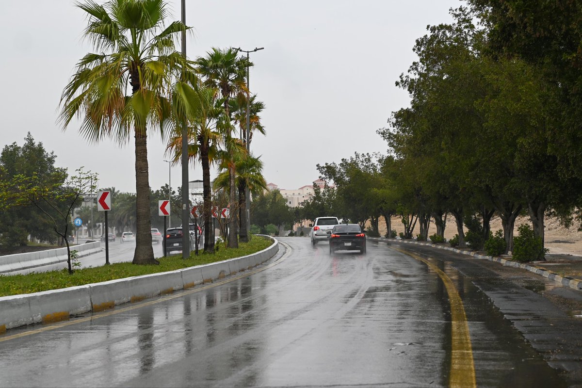 dhahran_mun's tweet photo. 🌧️ || 

حين تمطر #الظهران، تتزين الشوارع ببريق خاص، وكأن المدينة ترتدي أجمل حللها . . 

 #أمطار_الظهران 
#بلدية_مدينة_الظهران https://t.co/dNk4Yxe6Mt