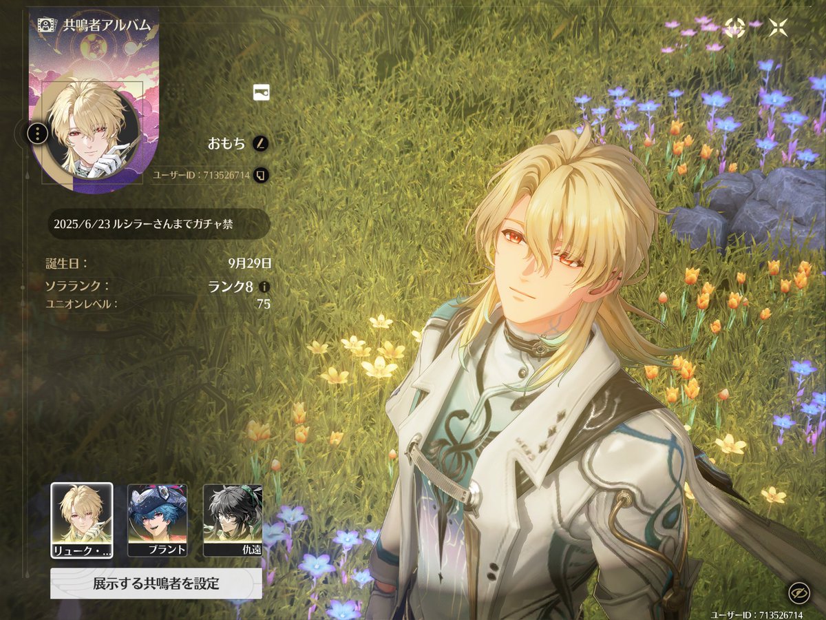 omoti_poyo's tweet photo. やってるゲームのプロフを置いておく https://t.co/eaginiwuNz