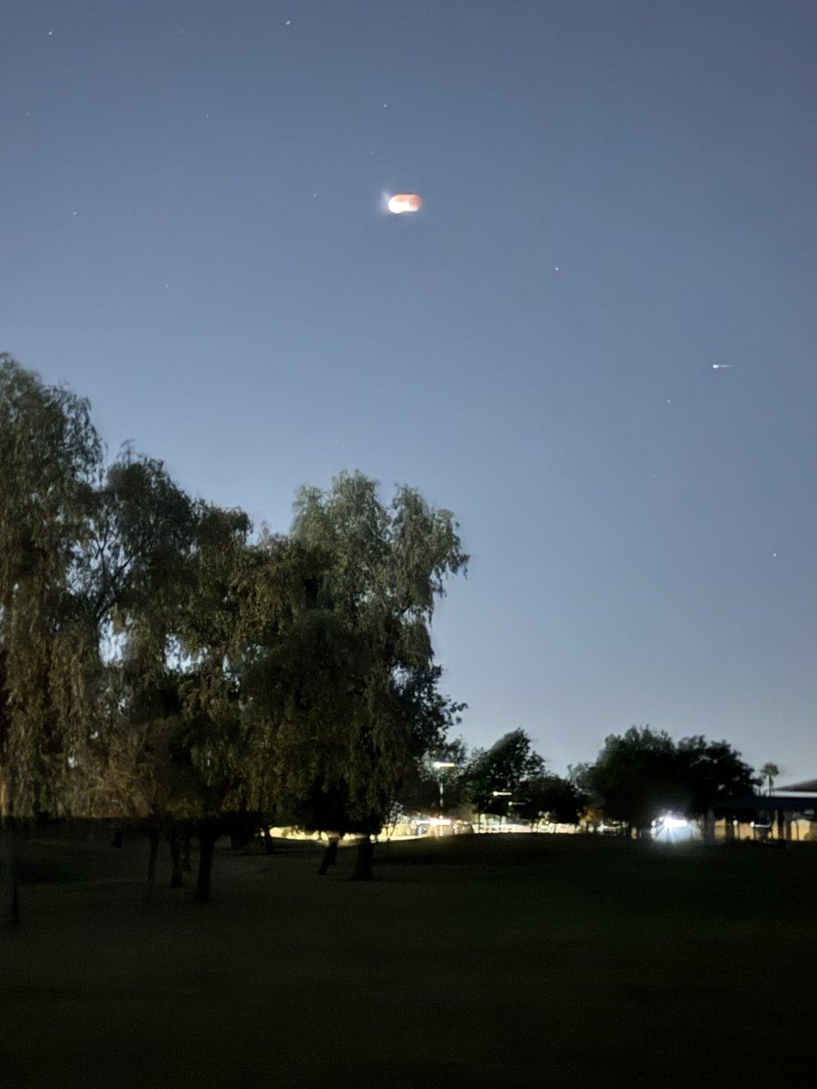 Blood Moon from my morning walk.