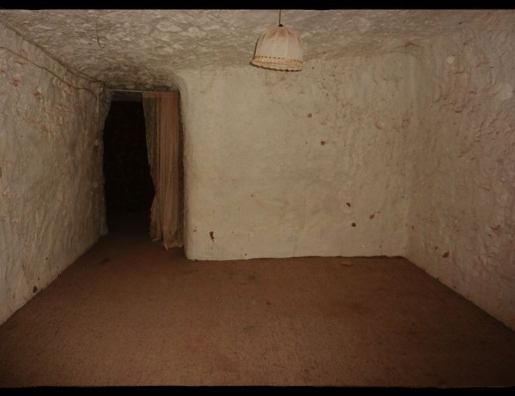 Liminal Dreams tweet media