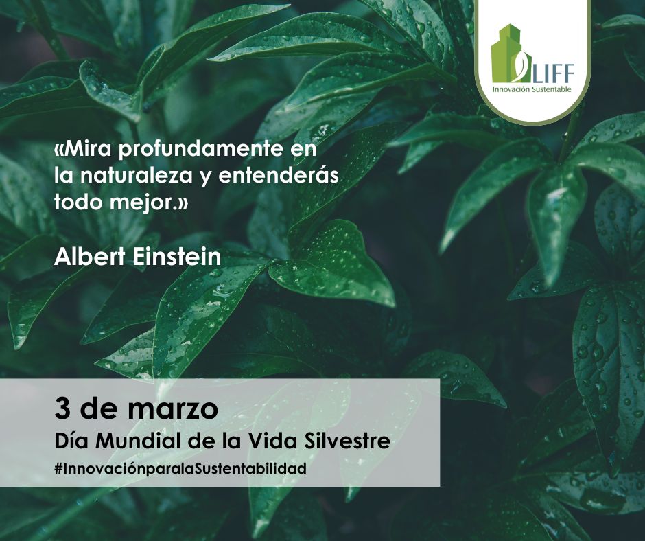 Fidel García Granados tweet media