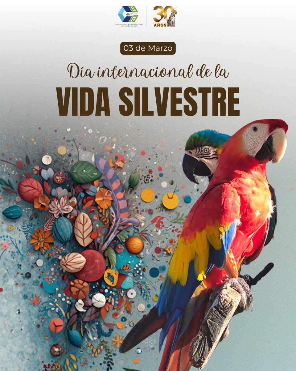 corpocsb's tweet photo. Desde la Corporación Autónoma Regional del Sur de Bolívar – CSB reafirmamos nuestro compromiso con la biodiversidad 💚🌎. Invitamos a denunciar el tráfico ilegal de fauna, no tener animales silvestres como mascotas y cuidar nuestros bosques y riberas. https://t.co/699M8YyOPi