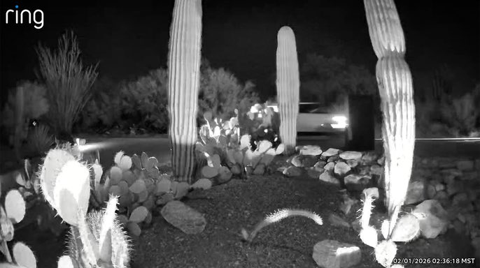 mikerreports's tweet photo. 🎗️🎗️🎗️Good morning from Tucson, 

It’s now been 4 weeks and 2 days since the suspected abduction of Nancy Guthrie from her home in the Catalina Foothills. 

She’s the 84-year-old mother of “Today” co-host Savannah Guthrie. 

Pima County Sheriff Chris Nanos told Savannah’s NBC colleagues this morning that the case can “absolutely” be solved. 

He said video uncovered last week by Fox News Digital showing vehicles in the area is still being investigated. His team has not yet identified an SUV seen around the time of Nancy’s suspected abduction. 

That’s being looked at along with “hundreds of thousands” of other vehicles. 

The motive remains unclear. No suspects have been publicly identified. 

A task force of PCSD homicide detectives and FBI agents are still awaiting DNA updates from a private lab in Florida. 

The sheriff also acknowledged that a Walmart backpack seen on a masked suspect at Nancy’s front door could have been obtained second hand. 

Yesterday, Savannah, her sister, Annie, and brother-in-law Tommaso visited the scene to lay yellow flowers symbolizing hope. 

A combined reward of over $1 million for information that leads to Nancy’s recovery remains unclaimed. 

1-800-CALL-FBI