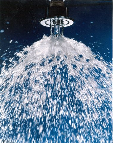 C.A.S.A. tweet media