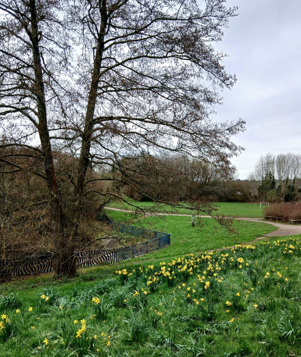 Tinalouisereads's tweet image. Walk around the park #springwalks #sedgley #sedgleyhallpark