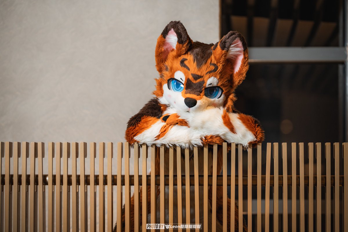 一信_Isshin tweet media