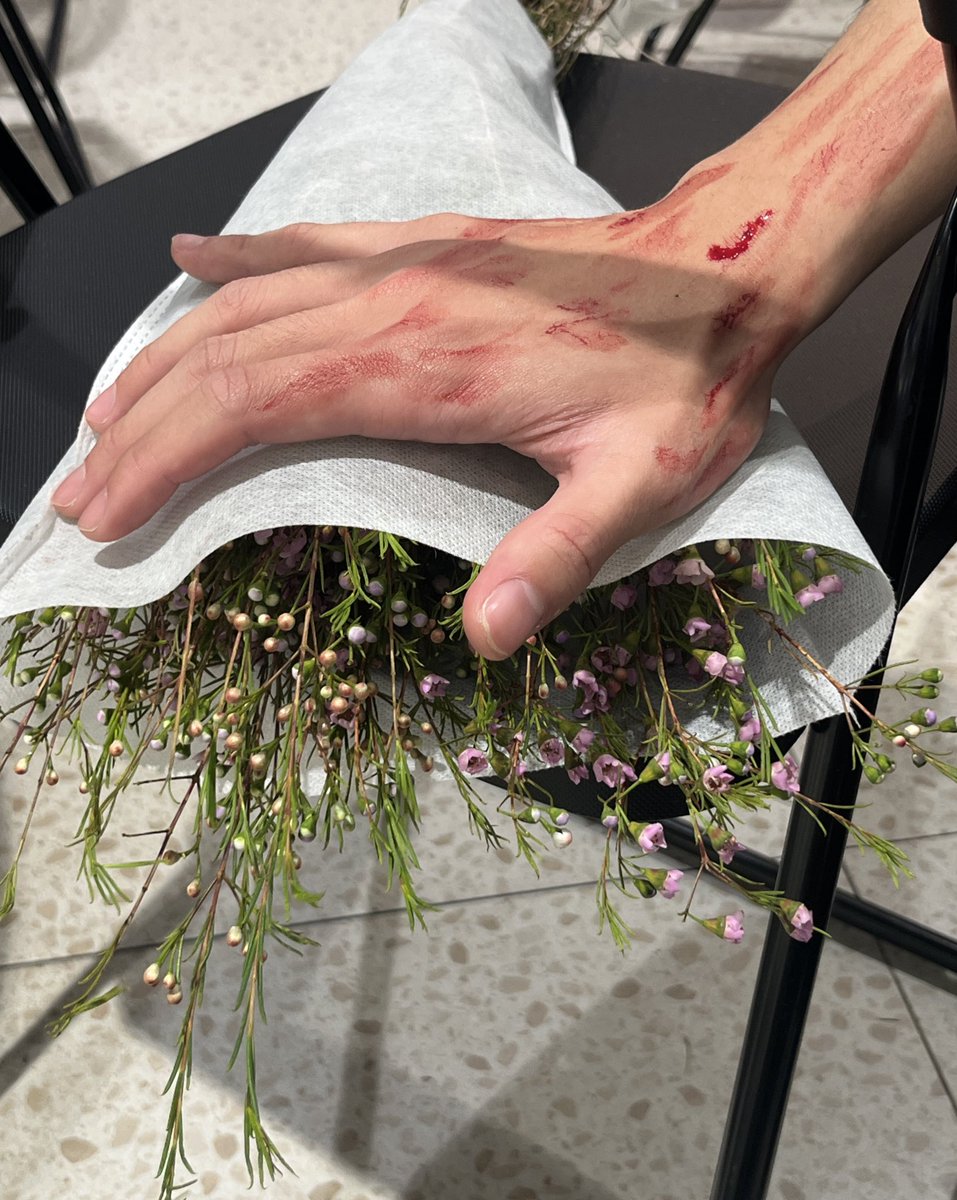 修猫日记 tweet media