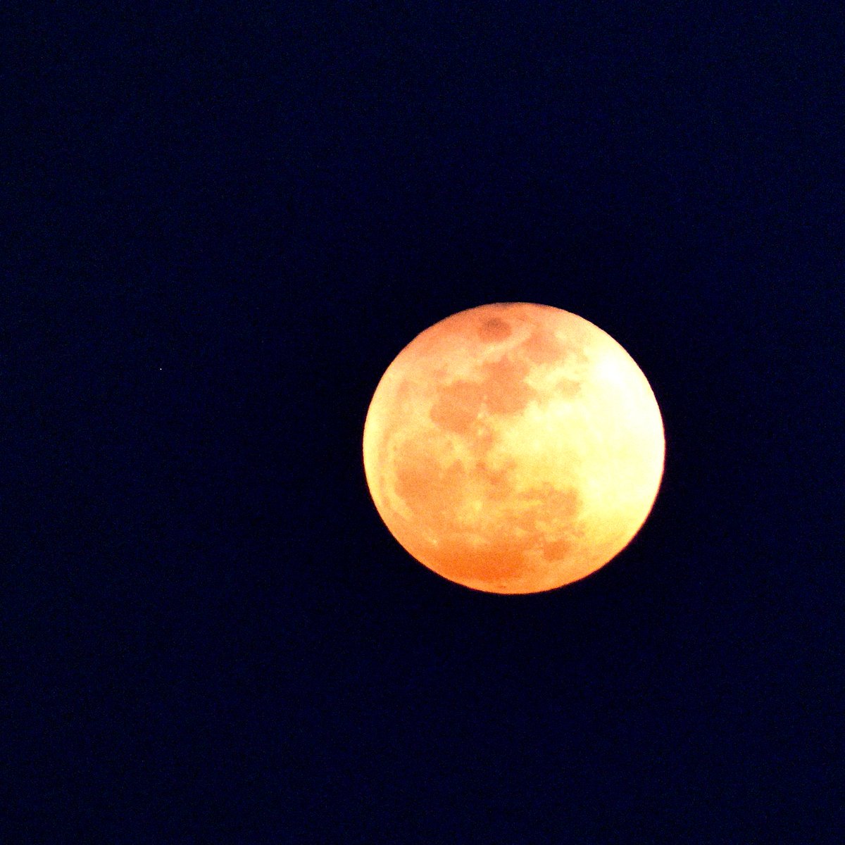 Mir Auqib tweet media