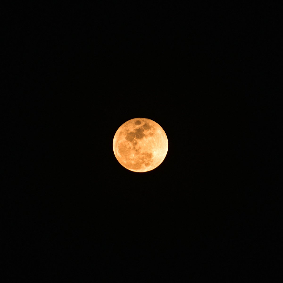 Mir Auqib tweet media