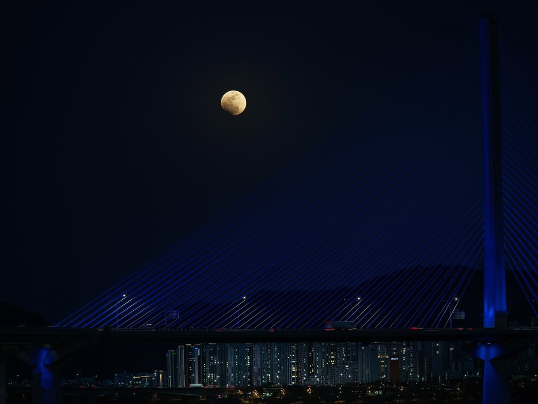 KUN SOLO tweet media