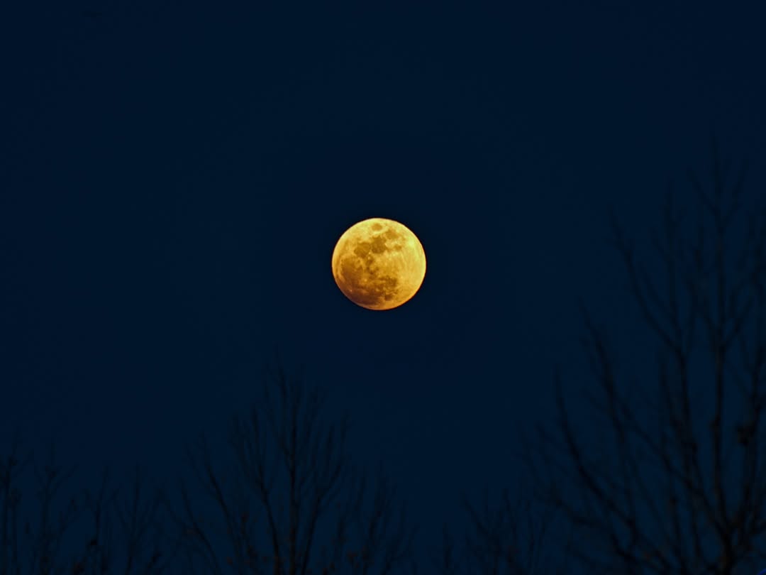 KUN SOLO tweet media