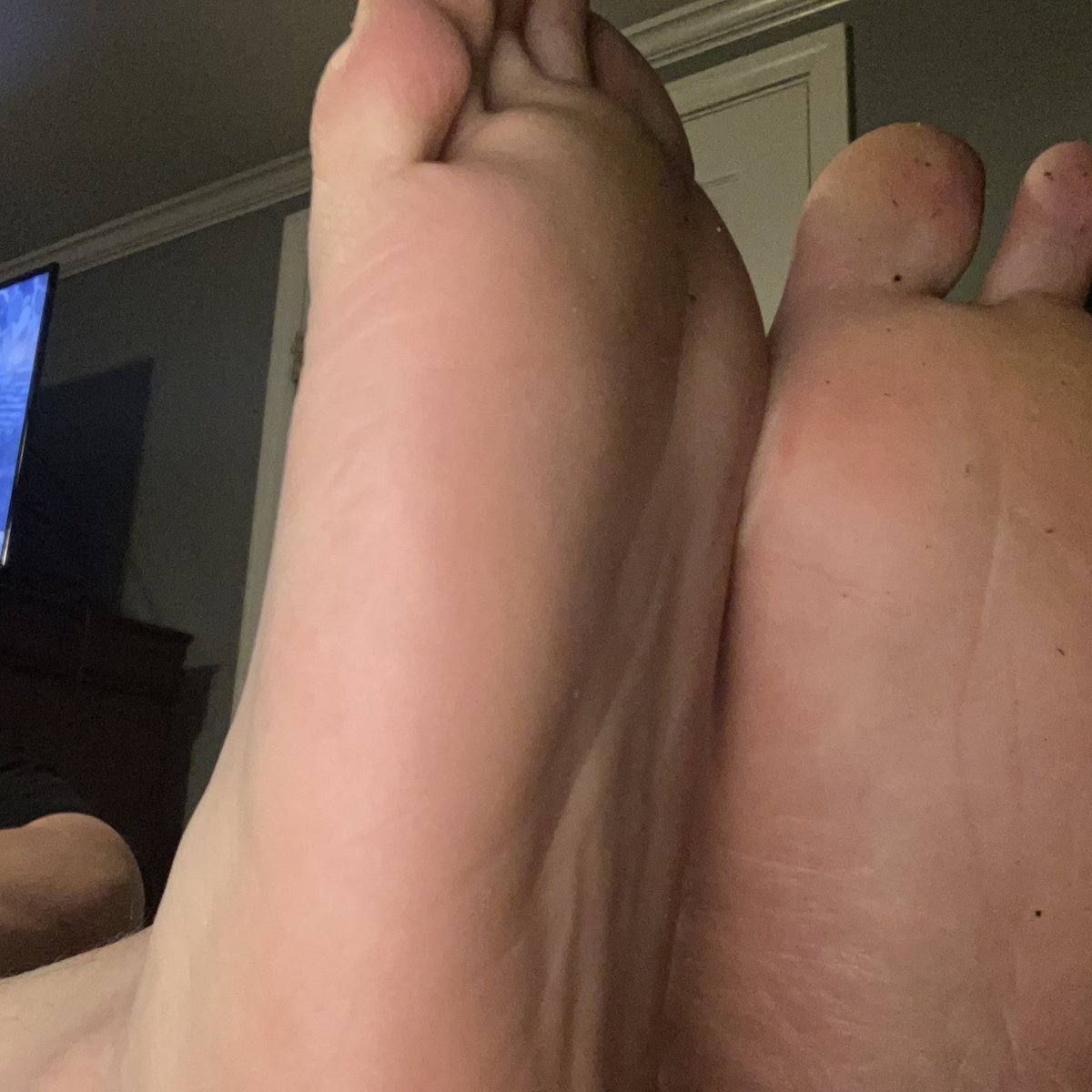 Taren 🪼🫶🦭 tweet media