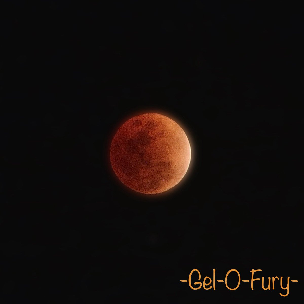 -Gel-O-Fury- tweet media