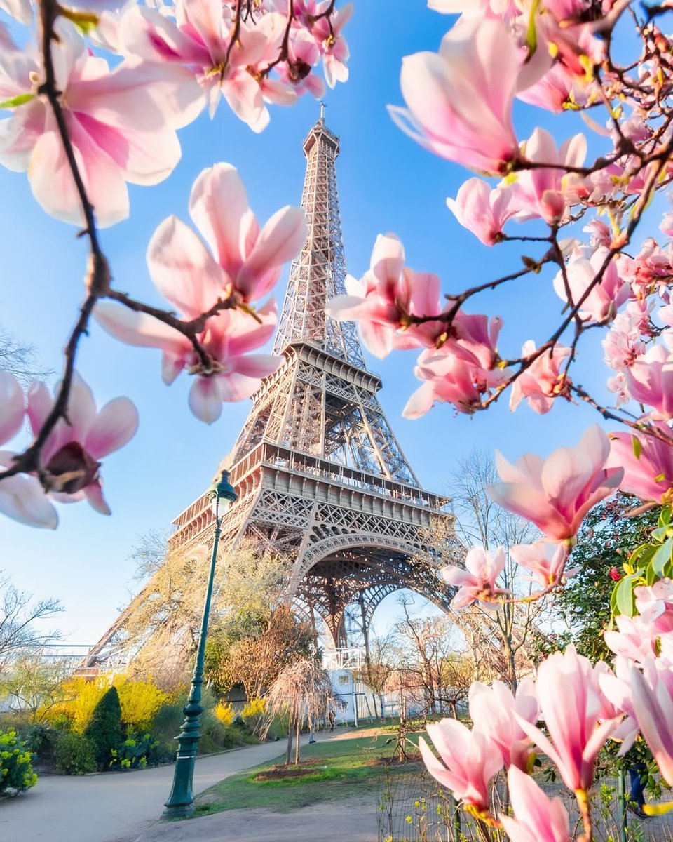 TravelBucketX's tweet photo. Paris, France 🇫🇷 https://t.co/HoiWqIfwC8