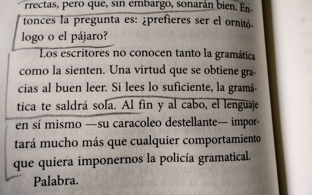 Javier Puche tweet media