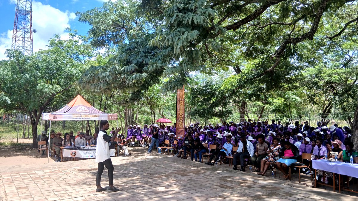 SHANGANO ARTS TRUST tweet media