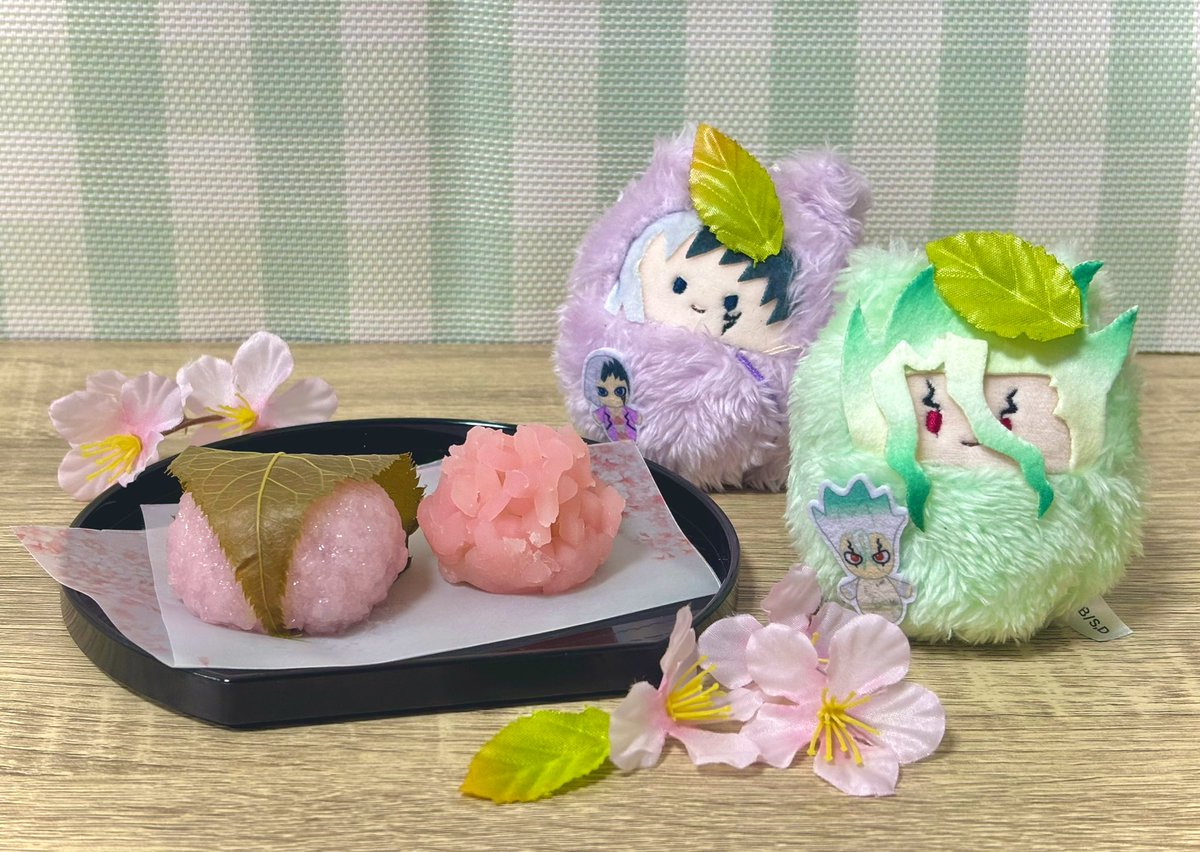 りっぱな春ぬい目指してさくらもちの特訓だ！🍡🌸 #春のいしぬい祭り