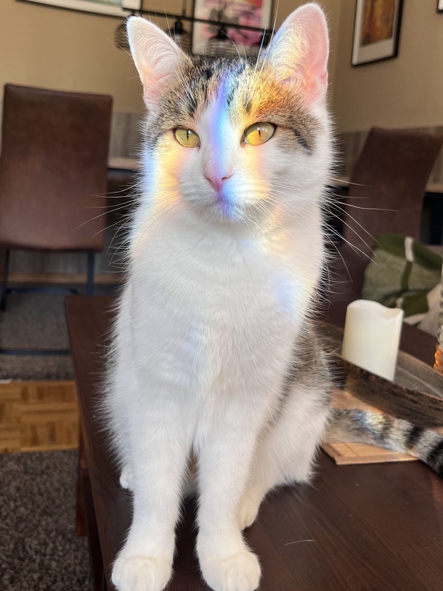 V0IGHT | Lea tweet media