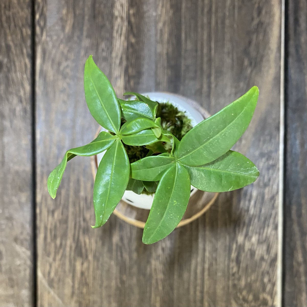 緑を眺めながら
大きく深呼吸😌