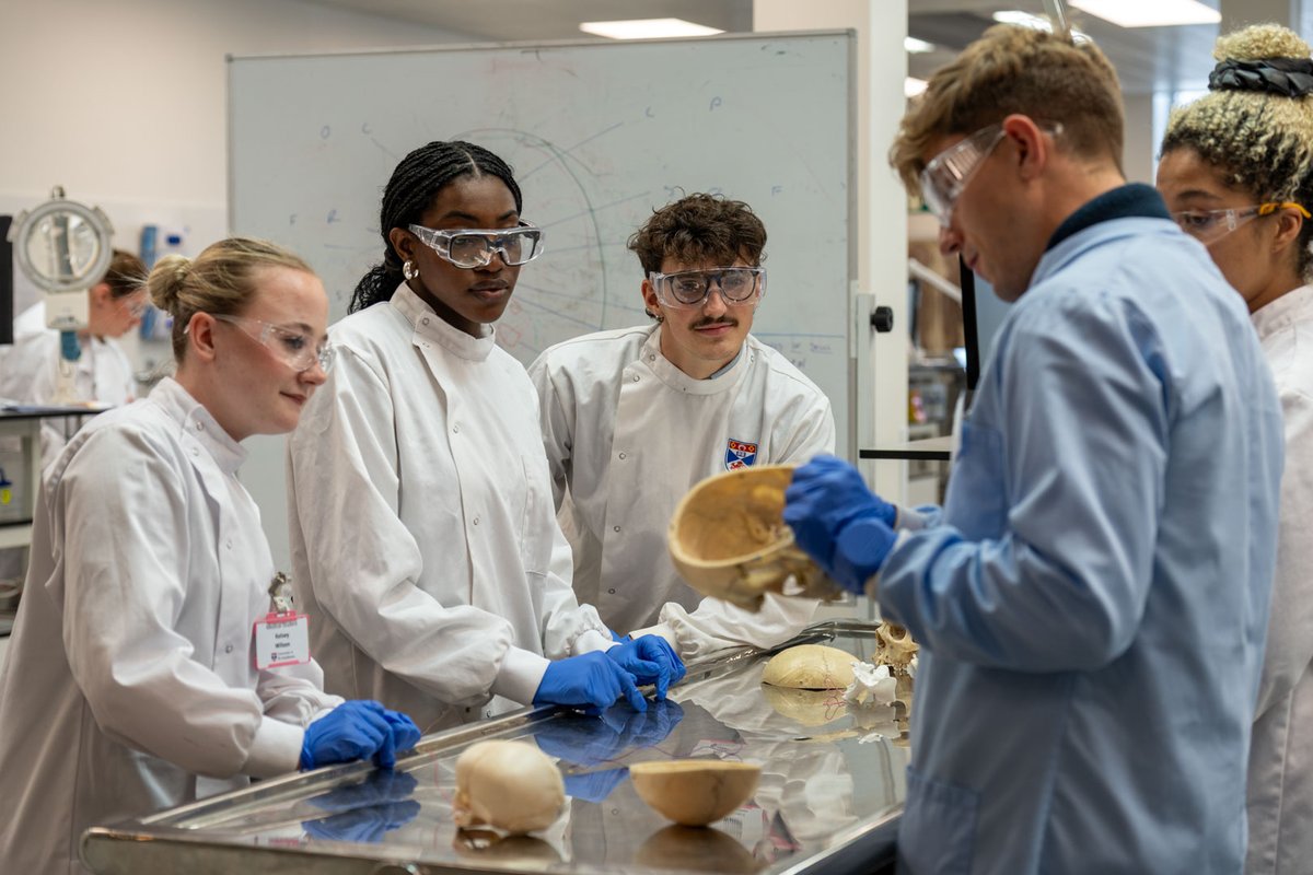 StAndMedicine's tweet photo. What you learn in lectures suddenly clicks - 
Dong Min’s reflection dives into the nerves, excitement, and unforgettable moments inside the dissection room, from first incisions to discovering anatomy in 3D.
Read more: https://t.co/7dU9eYhUMa
#StAndrewsMedicine #AnatomyTeaching https://t.co/8NfUDROxCy