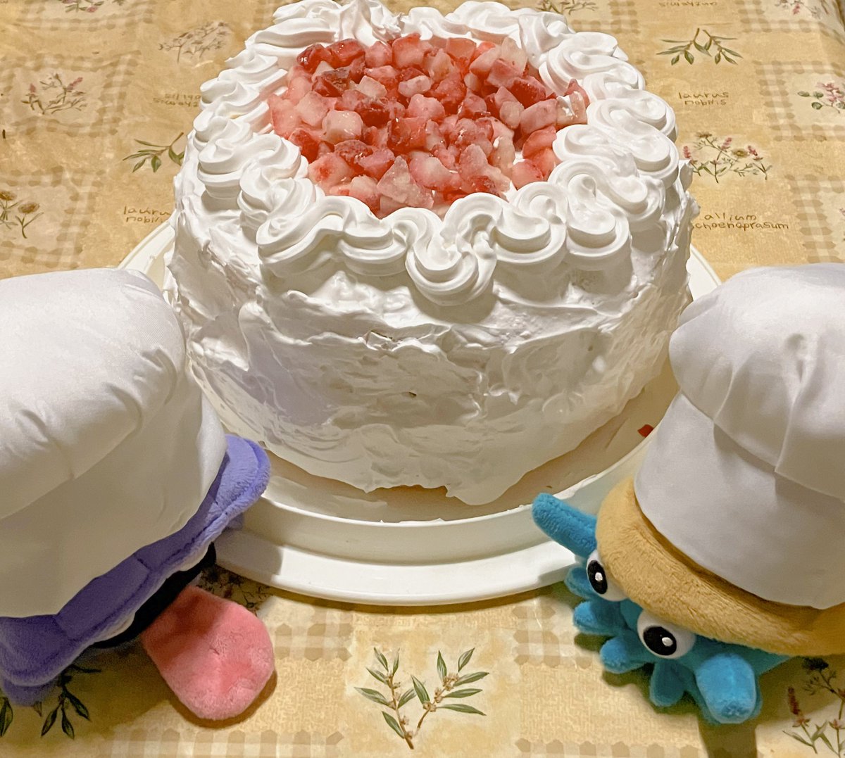 シェルダーとオムナイト tweet media