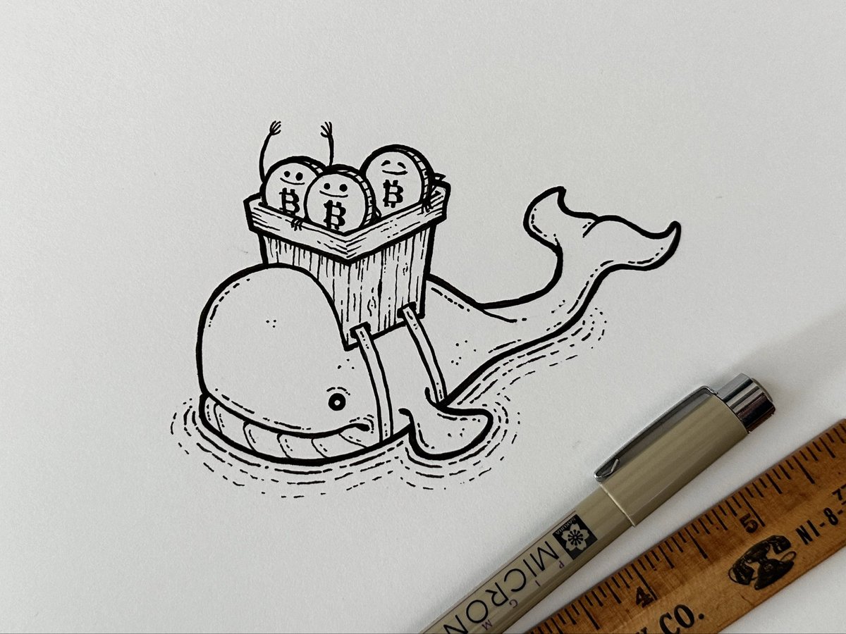 Marcus Connor tweet media