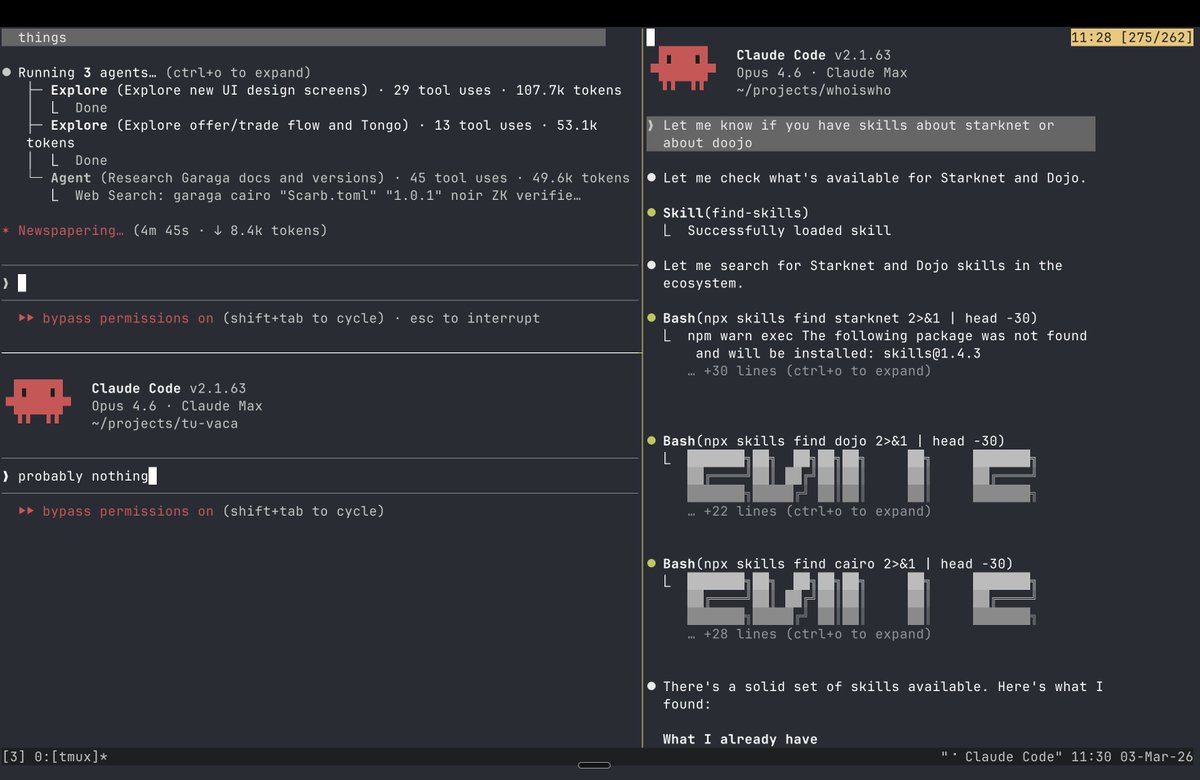 Probably nothing...

Nice combo Ghostty + tmux, be welcome.