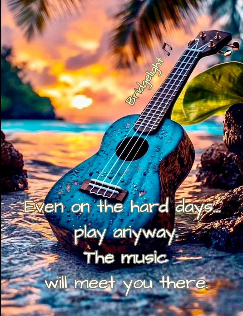 R🦋🦋🦋 tweet media