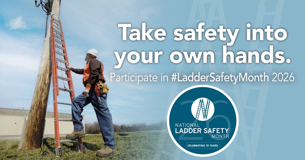 American Ladder tweet media