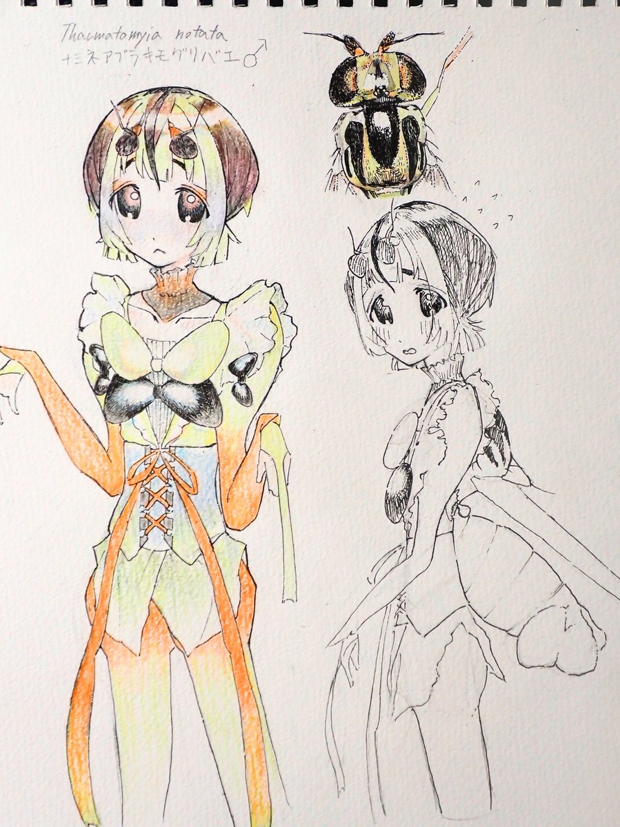 もーみん tweet media