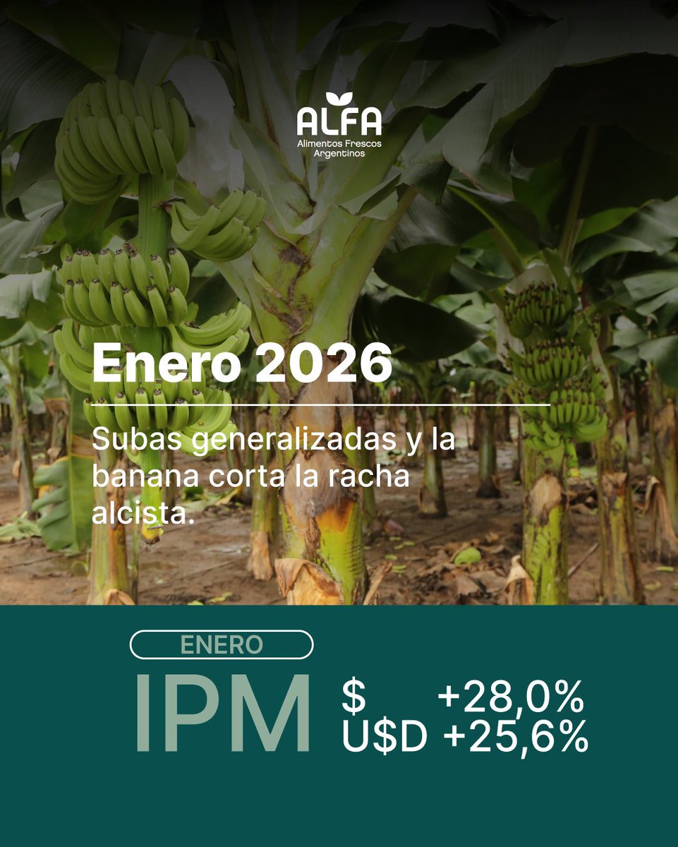 📈 El mercado frutihortícola inició el año con fuertes incrementos.