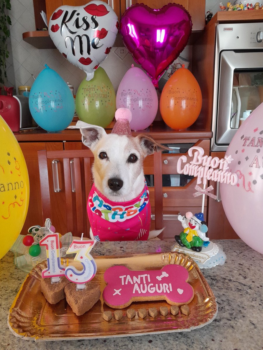 Buon Compleanno amore mio ❤️ #HappyBirthday 🎂✨️🥳 #MyLove 💖🎀 #MusettoDolcissimo 🐶🐾 #AmoreImmenso 💕💕💕