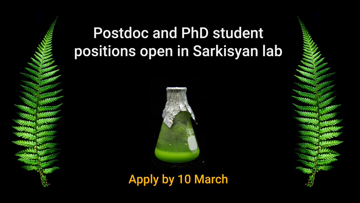 Karen Sarkisyan tweet media