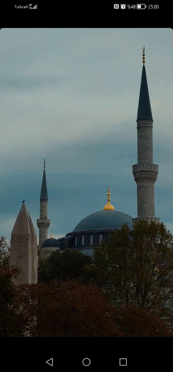 Verimay🍁 tweet media