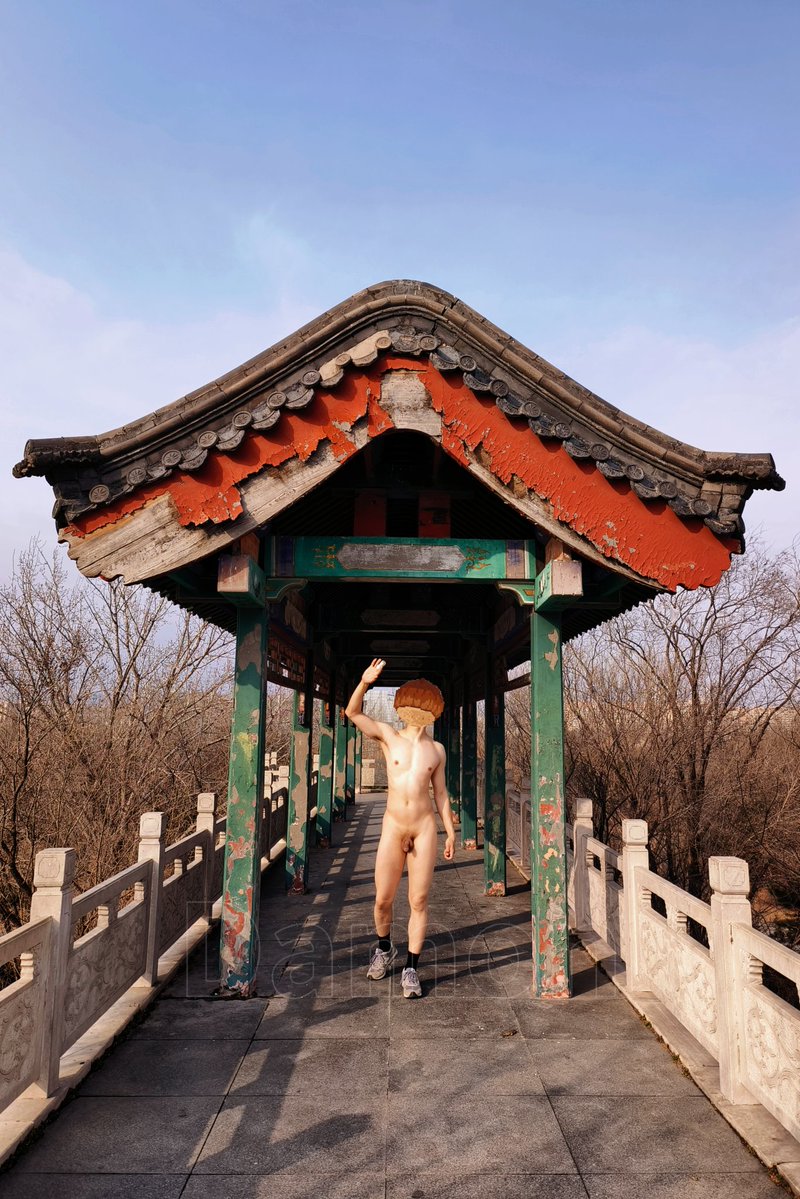 Damon（自愈版） tweet media