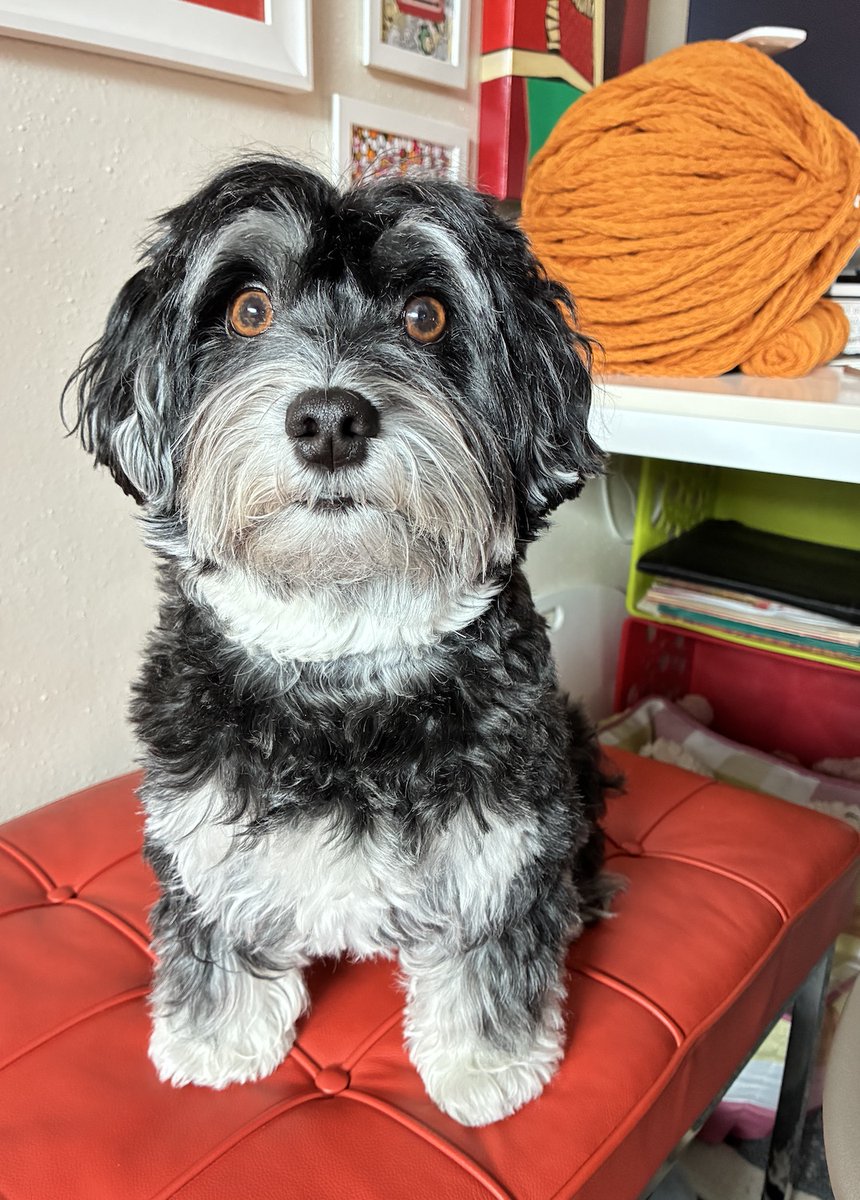 Good morning/afternoon my friends.
Wishing you all a Terrific Tuesday.