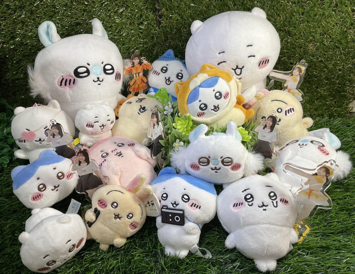 ぬこ大好きぬこ溺愛の小坂さなさんがちいかわのシークレットボックス