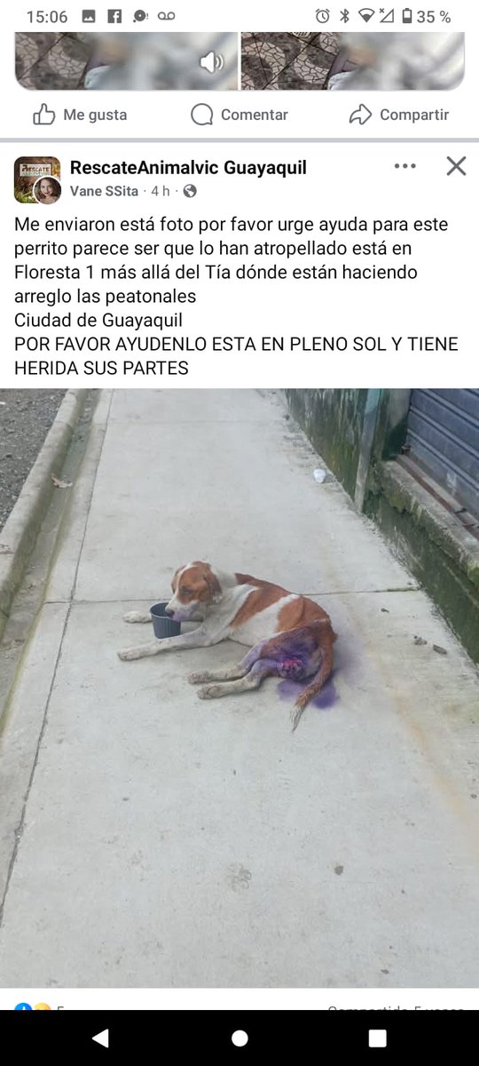 #Guayaquil Tirado como un perro, frase terrible y tan real. El día a día donde no se educa a la población, donde no hay control, ni hablar de sanciones