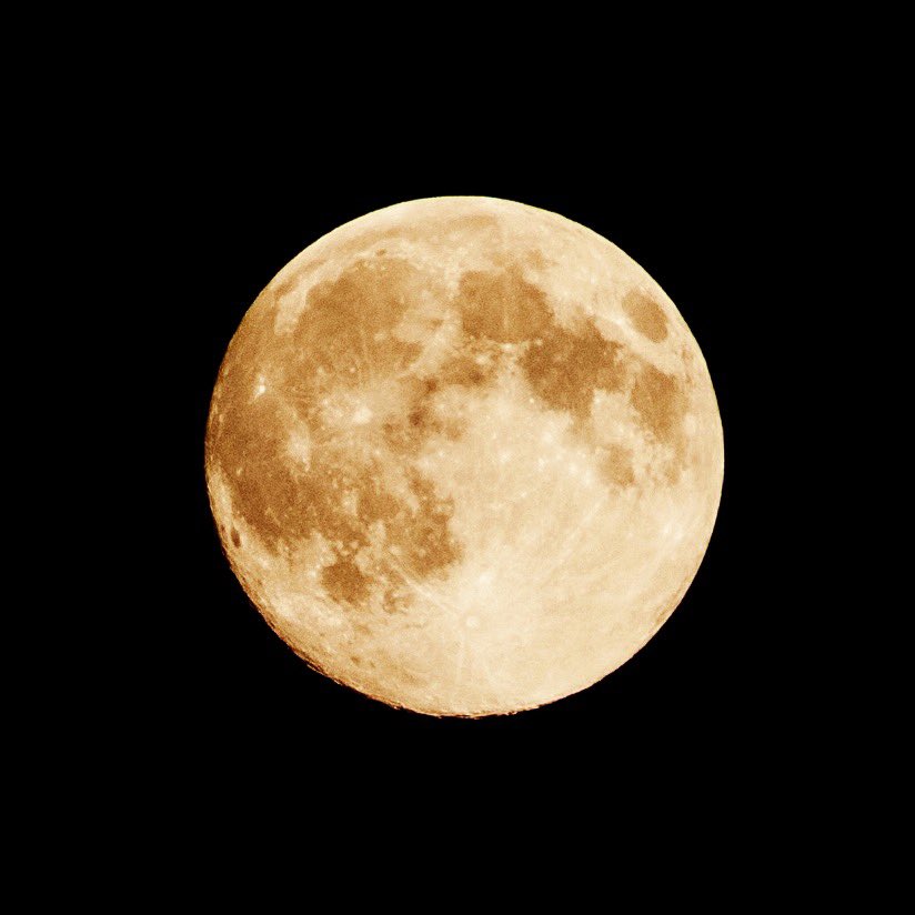 Made of Monsters tweet media