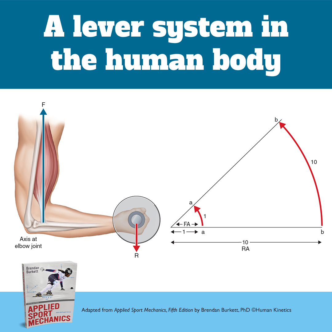 Human Kinetics Europe tweet media