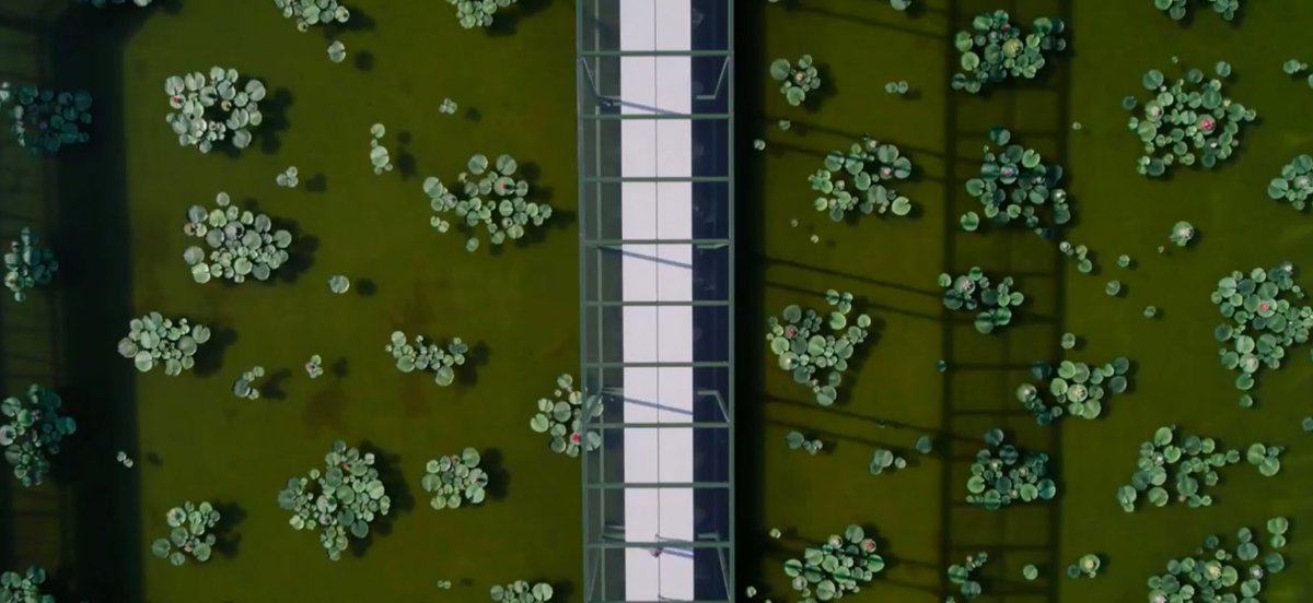 alejandra ☆ tweet media