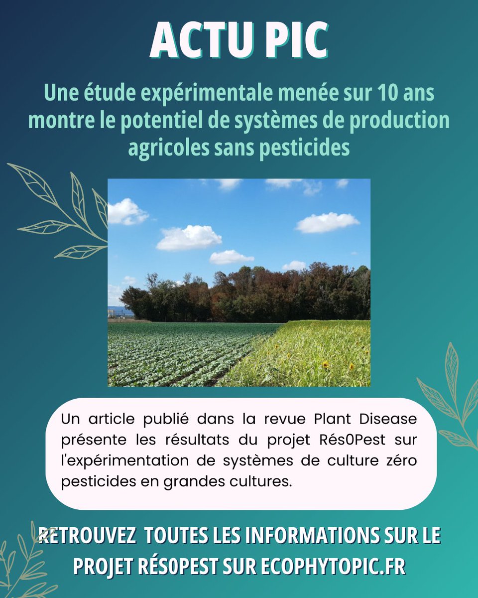 EcophytoPIC tweet media