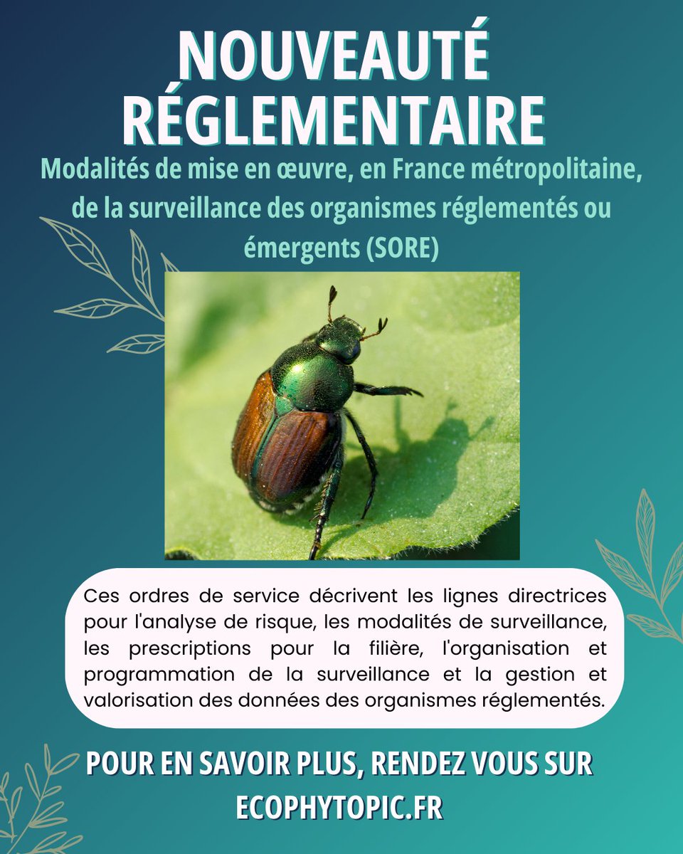 EcophytoPIC tweet media