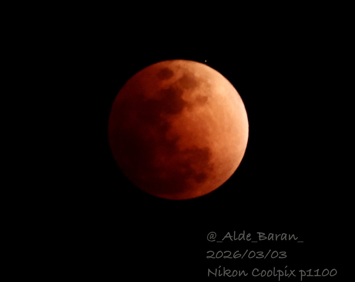 _Alde_Baran_'s tweet photo. 2026/03/03皆既月食 https://t.co/L9zW5k0mk4
