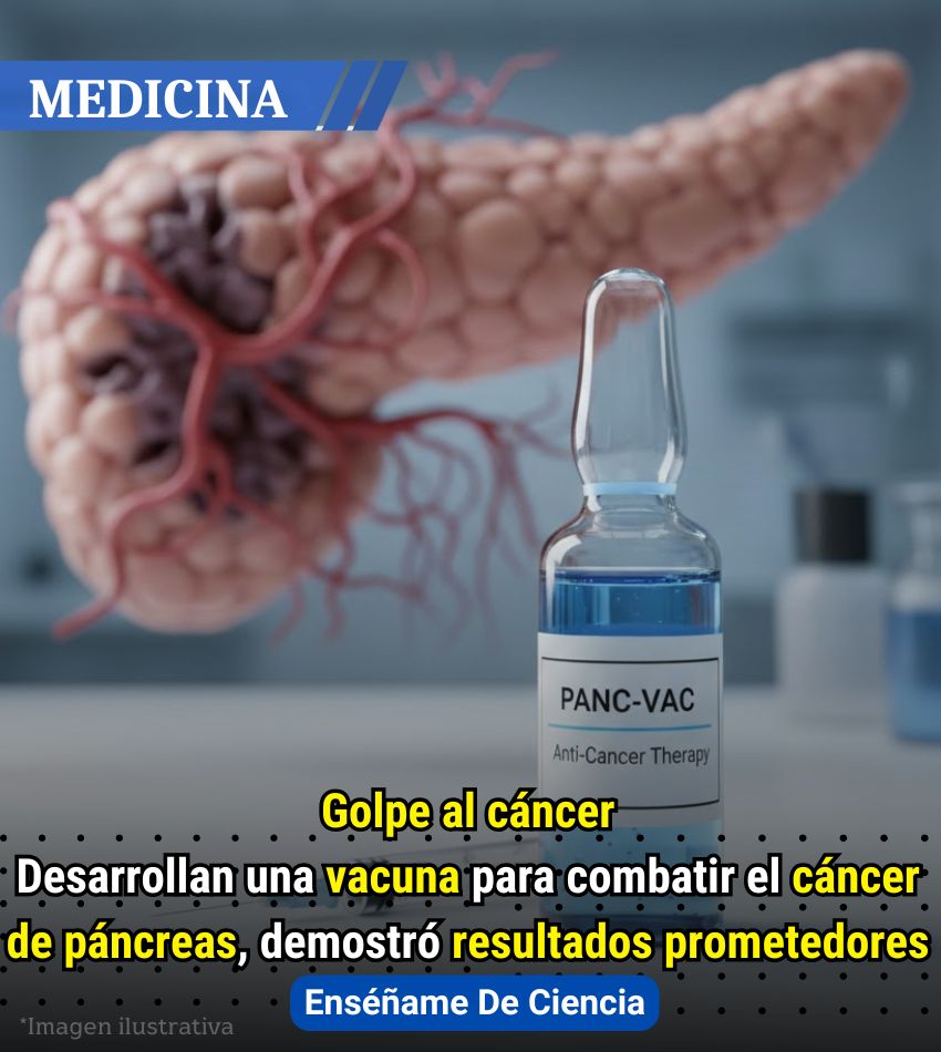 💥Un estudio clínico liderado por científicos de la Universidad de California, en Los Ángeles (UCLA) y desarrollado por Elicio Therapeutics mostró resultados alentadores. Se encuentra en desarrollo una vacuna experimental que reveló prometedores resultados en el tratamiento del