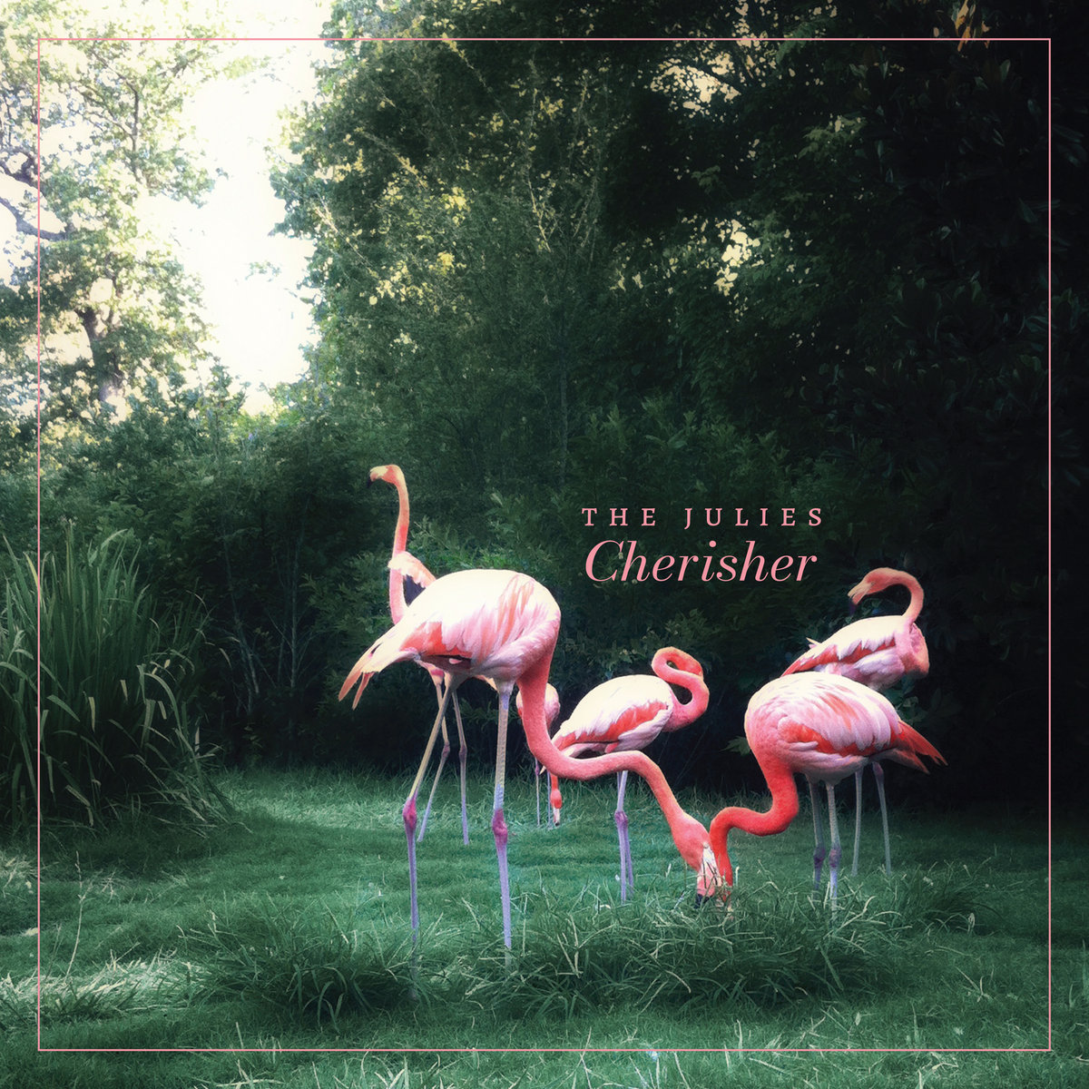 Ed Miller tweet media