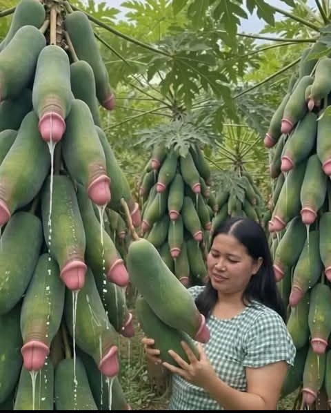 DimuDeke's tweet photo. Who gives the name is this Asian Tree, Wins prize 🤔 https://t.co/pZ1pDQDx4B