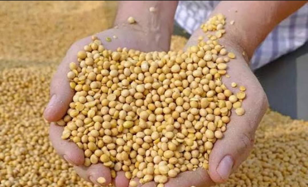 The Nigerian Farmer tweet media