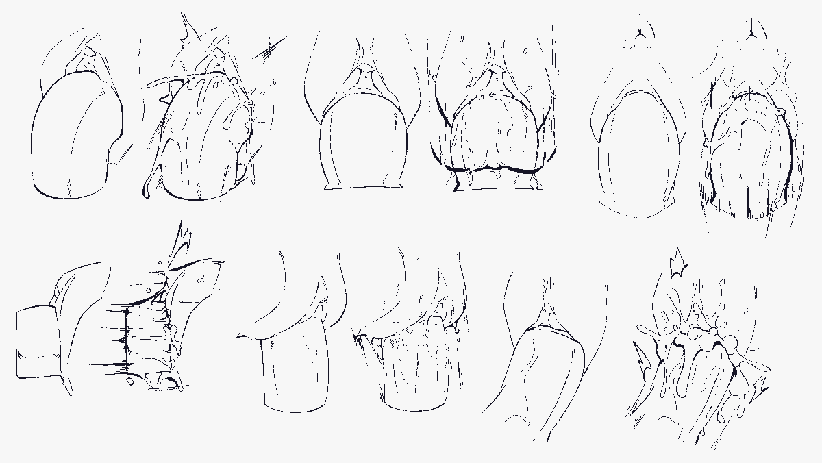 Shy 🔞 ||on bsky now|| tweet media