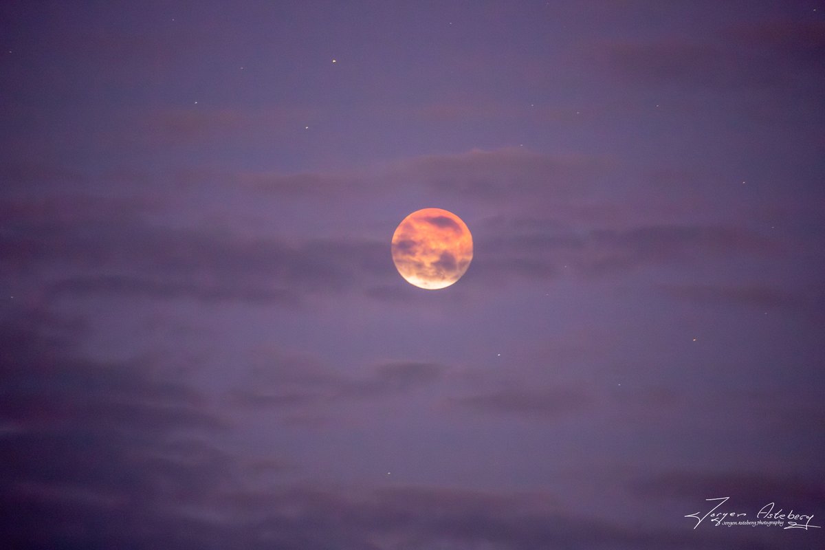 Jorgen Asteberg tweet media